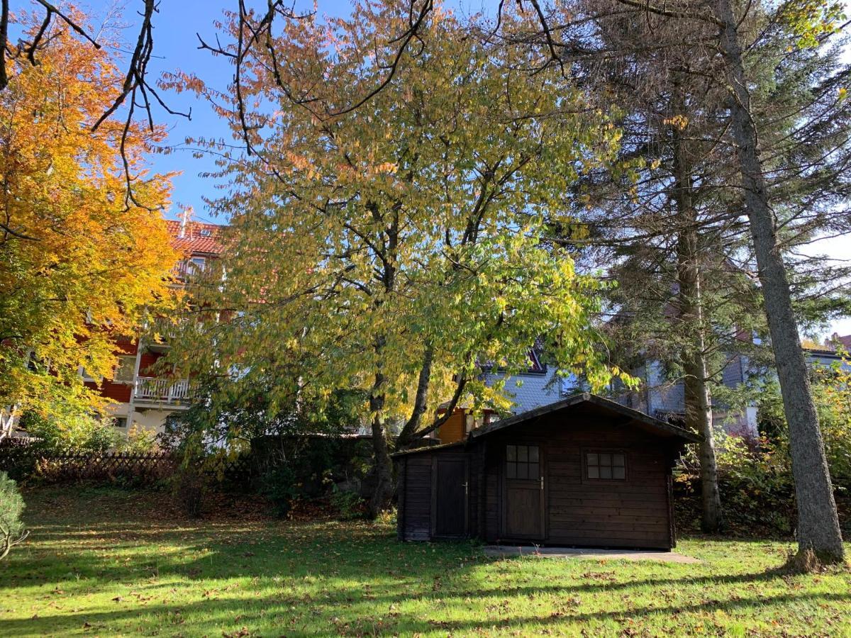 Chalet Bergzeit Leilighet Braunlage Eksteriør bilde